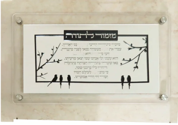 מזמור לתודה פרספקס