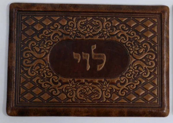 שלט מעור דגם מעויינים
